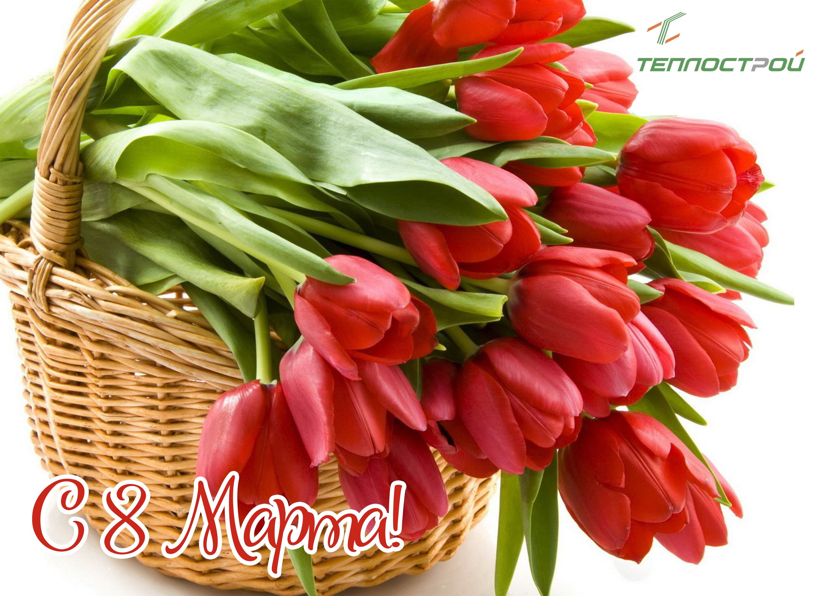 Поздравляю с праздником открытка красивая. Цветы тюльпаны. С днём рождения тюльпаны.